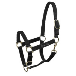 Licol nylon Umbria