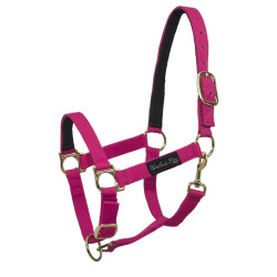 Licol nylon Umbria