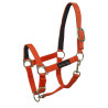 Licol nylon Umbria
