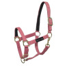 Licol nylon Umbria