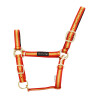 Licol nylon Umbria