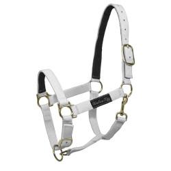 Licol nylon Umbria