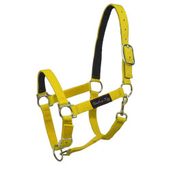 Licol nylon Umbria