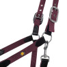 Ensemble licol et longe Lani Equestro