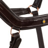 Licol en cuir Rose Gold Equestro