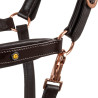 Licol en cuir Rose Gold Equestro