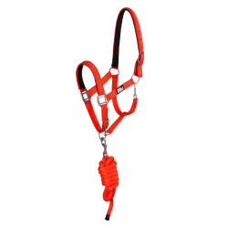 Licol nylon réfléchissant avec longe Uke