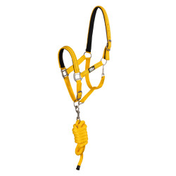 Licol nylon réfléchissant avec longe Uke