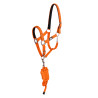 Licol nylon réfléchissant avec longe Uke