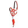 Licol nylon réfléchissant avec longe Uke