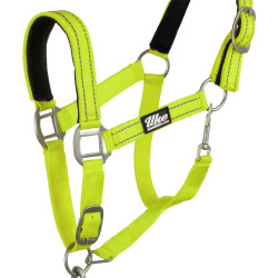Licol nylon réfléchissant avec longe Uke