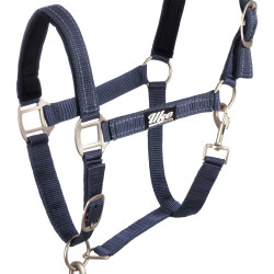 Licol nylon réfléchissant avec longe Uke