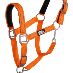 Licol nylon réfléchissant avec longe Uke