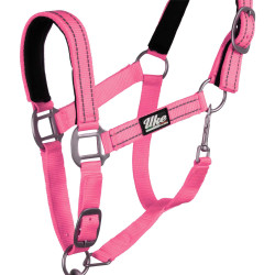 Licol nylon réfléchissant avec longe Uke