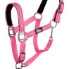 Licol nylon réfléchissant avec longe Uke