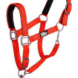 Licol nylon réfléchissant avec longe Uke