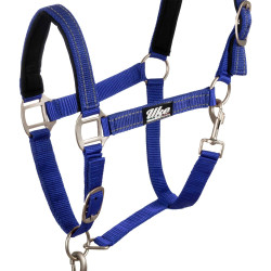 Licol nylon réfléchissant avec longe Uke