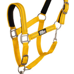 Licol nylon réfléchissant avec longe Uke