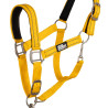 Licol nylon réfléchissant avec longe Uke