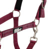 Licol nylon réfléchissant avec longe Uke