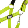 Licol nylon réfléchissant avec longe Uke