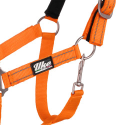 Licol nylon réfléchissant avec longe Uke