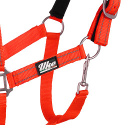 Licol nylon réfléchissant avec longe Uke