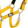 Licol nylon réfléchissant avec longe Uke