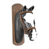 Bridon en cuir Clincher Derby