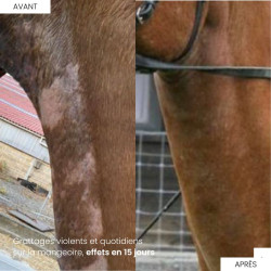 Derfen Original Cream Animaderm