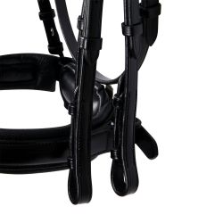 Bride en cuir Evolution Equestro
