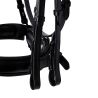Bride en cuir Evolution Equestro