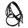 Bride en cuir Evolution Equestro