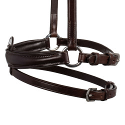 Muserolle combinée en cuir Acavallo