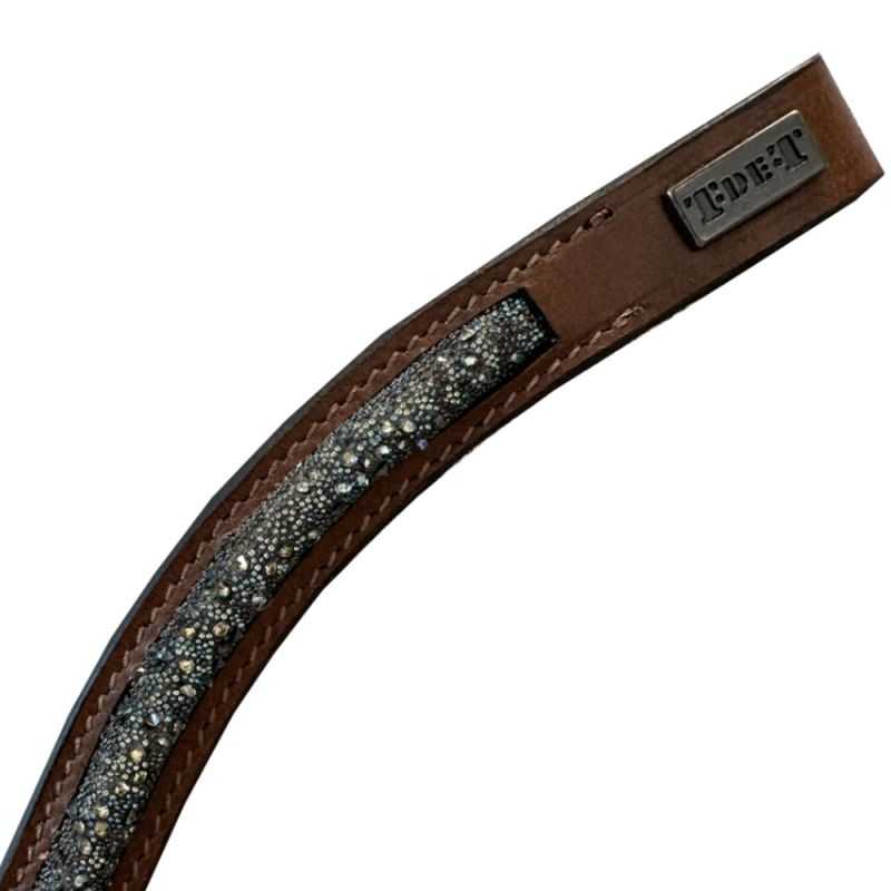 Frontal Galaxie T de T