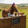 Jouet pour chevaux Snackcounter QHP