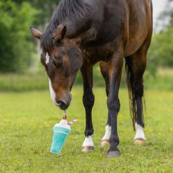 Jouet pour chevaux Snackcounter QHP