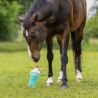 Jouet pour chevaux Snackcounter QHP