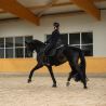 Tapis dressage Pro Soft Glitter Eskadron SS26
