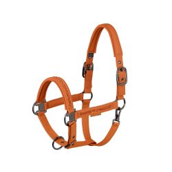 Licol Jewel Eskadron SS26
