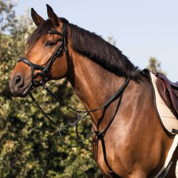 Martingale en cuir avec collier