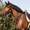 Martingale en cuir avec collier