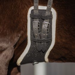 Sangle de dressage Glitter QHP