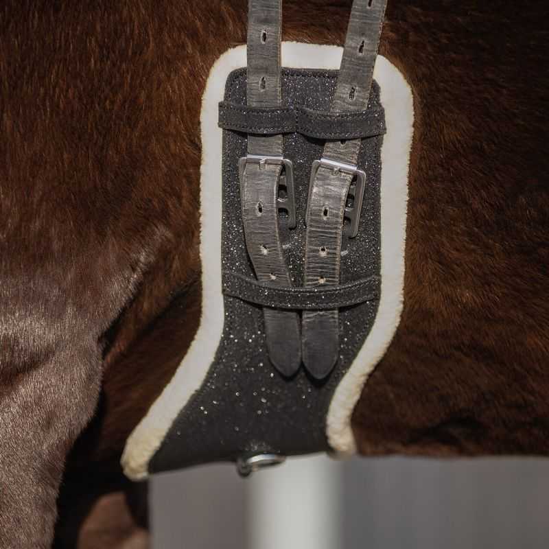 Sangle de dressage Glitter QHP