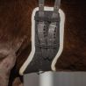 Sangle de dressage Glitter QHP