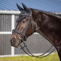 Bridon Glitter QHP