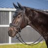 Bridon Glitter QHP