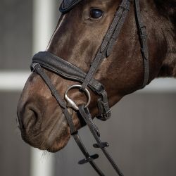 Bridon Glitter QHP