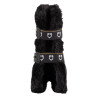 Guêtres Spider mouton Equestro