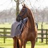 Couvre-reins polaire Ornament QHP